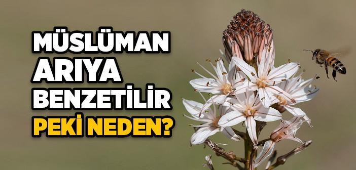 Mümin Nasıl Olmalı?