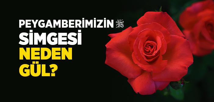 PEYGAMBER EFENDİMİZ’İN SİMGESİ NEDEN GÜLDÜR?