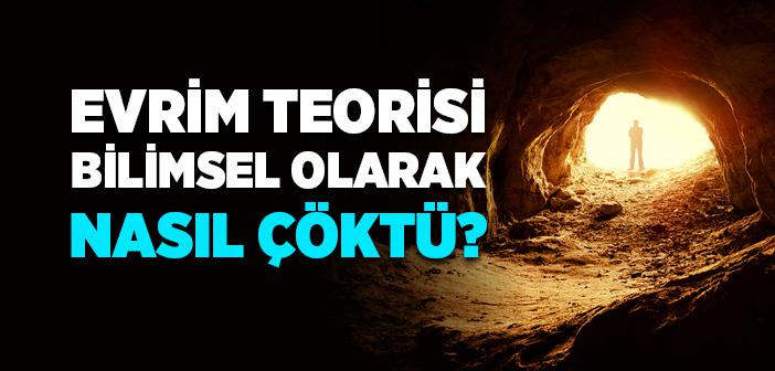 İlk İnsan