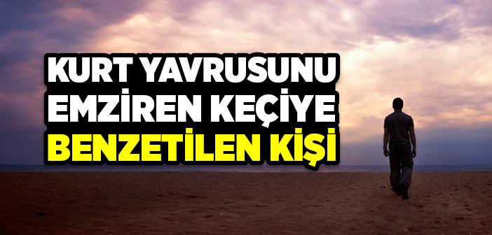 Kurt Yavrusunu Emziren Keçiye Benzetilen Kişi