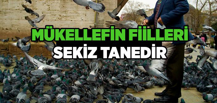 Mükellefin Fiilleri Nelerdir?