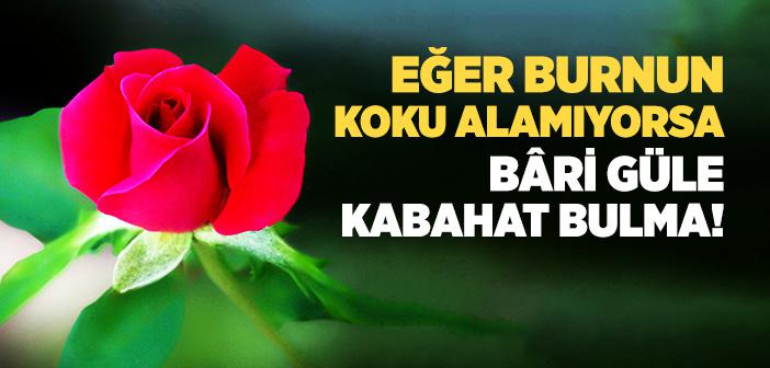 Eğer Burnun Koku Alamıyorsa Bâri Güle Kabahat Bulma!