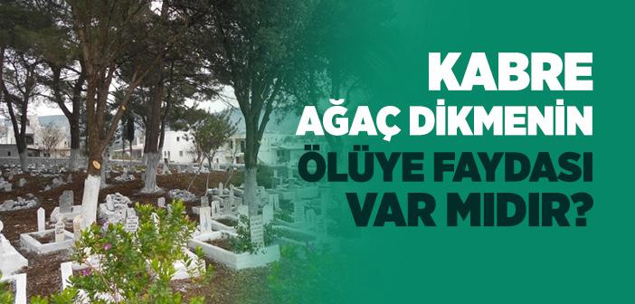 Kabre Ağaç Dikmenin Ölüye Faydası Var mıdır?