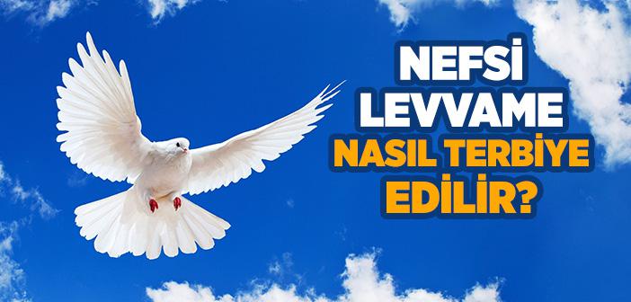 Nefs-i Levvame Nedir?