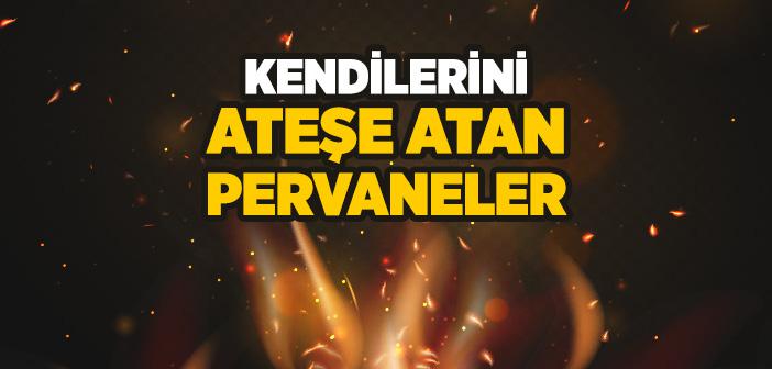 Pervane Hadisi