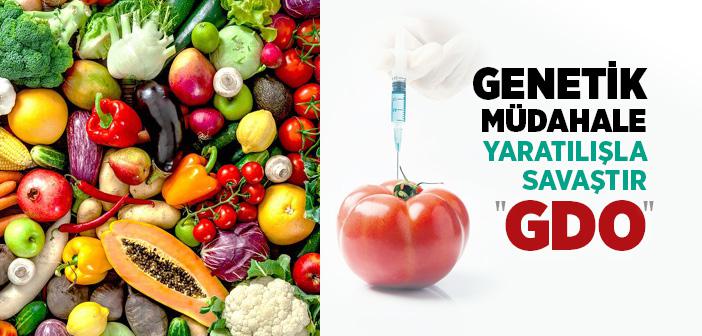 Gdo Nedir? Gdo'nun Etkileri Nelerdir?