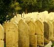 Hz. İbrahim’in (a.s.) Ölülerin Nasıl Diriltileceğini Görmek İstemesinin Sebebi