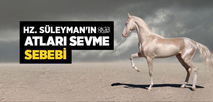 Hz. Süleyman’ın (a.s.) Atları Sevme Sebebi