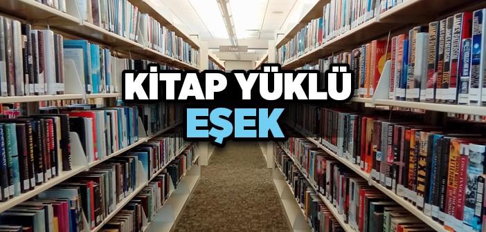 Kitap Yüklü Merkepler