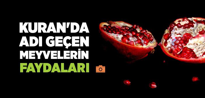 Kuran’da Adı Geçen Meyvelerin Faydaları