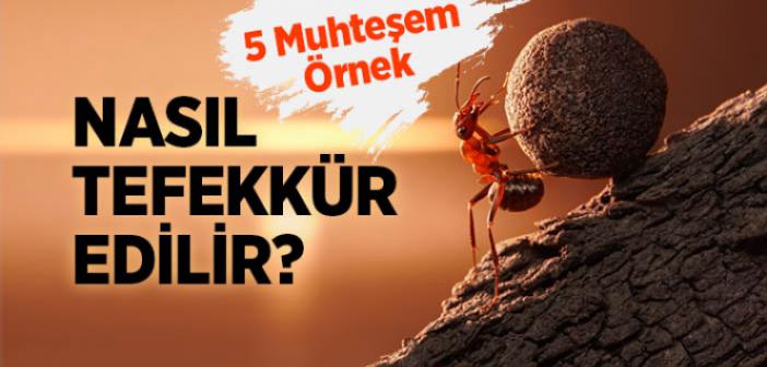 Tefekkür Nedir? Nasıl Tefekkür Edilir?