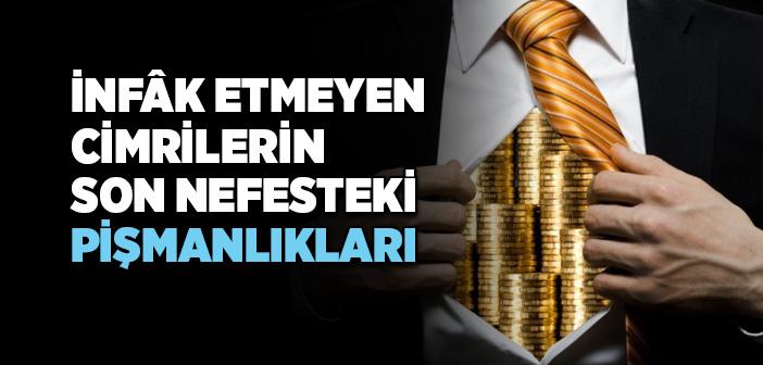 Cimrilerin Sonu Nasıl Olacak?