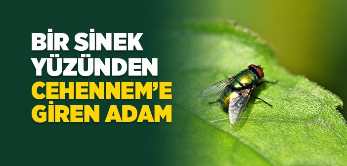 Bir Sinek Yüzünden Cehennem’e Giren Adam