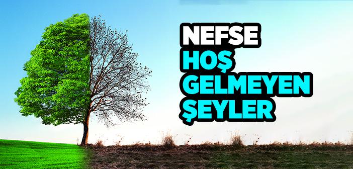 "Cehennem Nefse Hoş Gelen Şeylerle Kuşatılmıştır" Hadisi