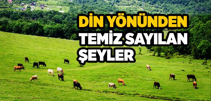 Dinen Temiz Sayılan Şeyler