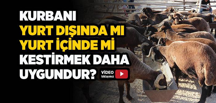 Kurbanı Yurt Dışında mı Yurt İçinde mi Kestirmek Daha Uygundur?