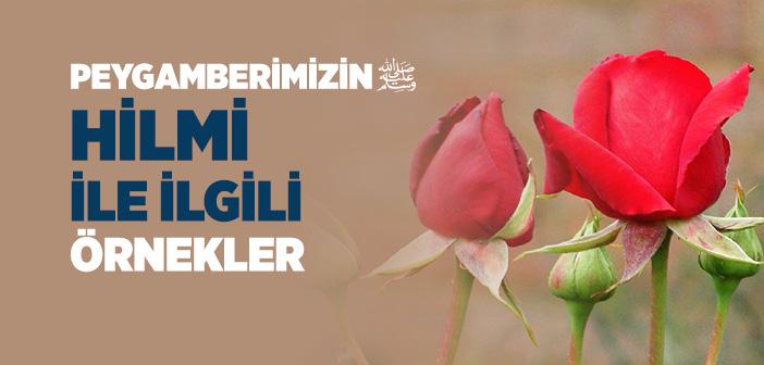 Müsamaha ve Hilim (Hilm) ile İlgili Örnekler