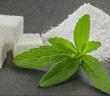 Stevia Nedir, Nasıl Kullanılır, Faydaları Nelerdir?