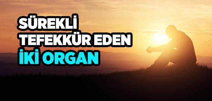 Sürekli Tefekkür Eden İki Organ