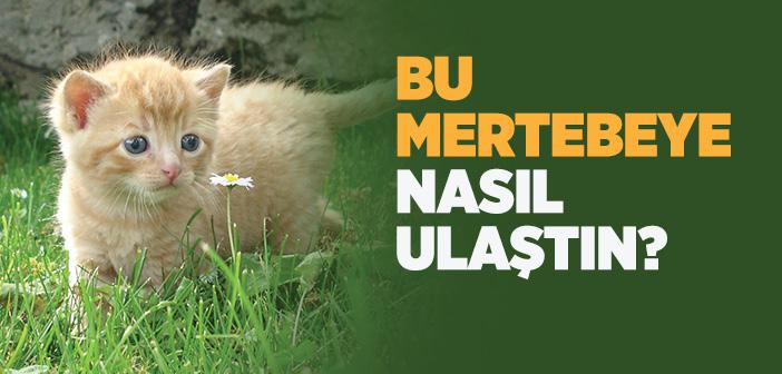 Hangi Amelinle Bu Mertebeye Ulaştın?
