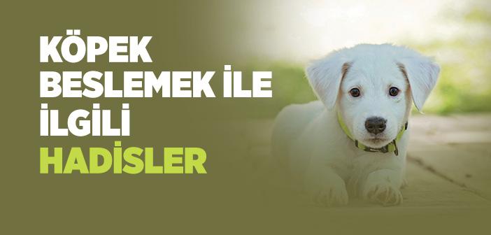 Köpek Olan Evde Namaz Kılınır Mı