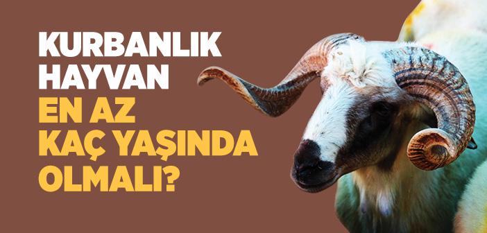 Kurbanlık Hayvanların Yaşlarında Aranacak Olan Asgari Sınır Nedir?