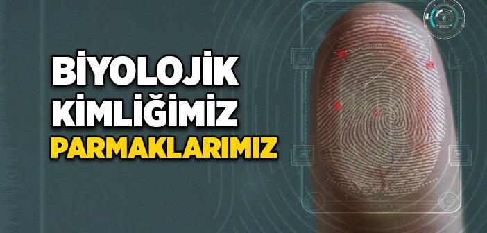 Parmaklarımız: Biyolojik Kimliğimiz