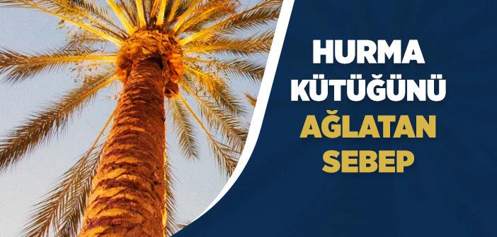 "Hurma Kütüğünün Ağlaması" Hadisi