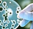 Antibiyotiklere Dirençli Bakteriler ‘Koronavirüsten Daha Riskli Olabilir’