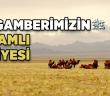 Peygamberimizin Anlamlı Hediyesi