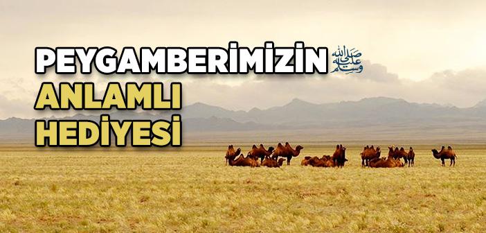 Peygamberimizin Anlamlı Hediyesi