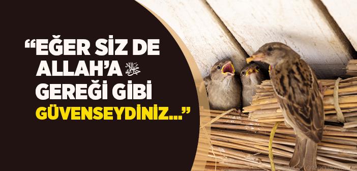 "Kuşlar Gibi Rızıklandırılırdınız" Hadisi