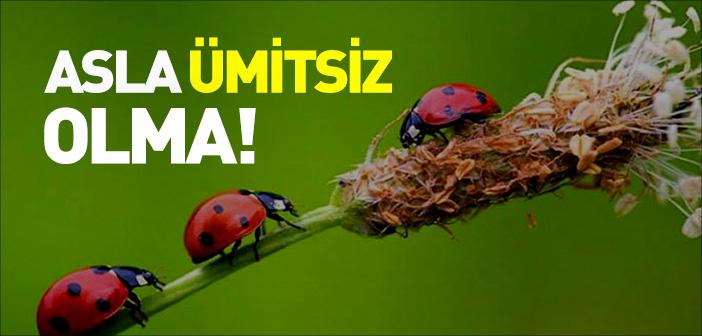 Ümitsiz Olma!