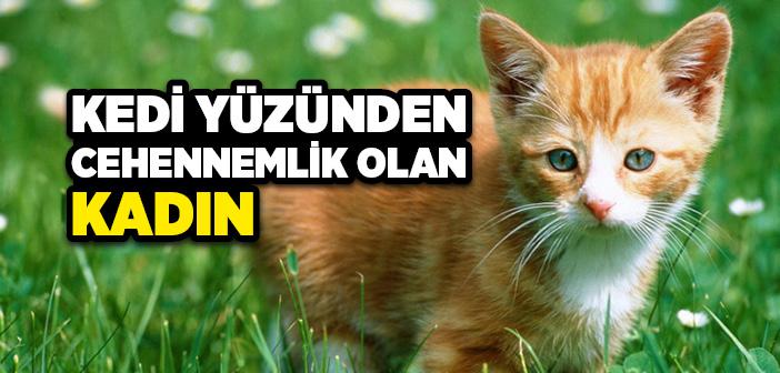 Bir Kedi Yüzünden Cehenneme Giden Kadın