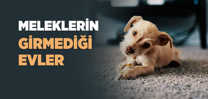 “İçinde Köpek ve Sûret Bulunan Eve Melekler Girmez” Hadisi