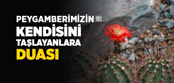 Peygamberimizin (s.a.v) Kendisini Taşlayanlara Duası
