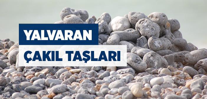Yalvaran Çakıl Taşlarının Hikayesi