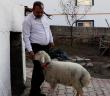 Bu Hayvanlar Sevgiye Muhtaç!
