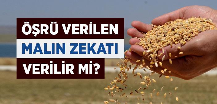 Daha Önce Öşrü Verilen Mahsul İçin Tekrar Zekat Verilir mi?