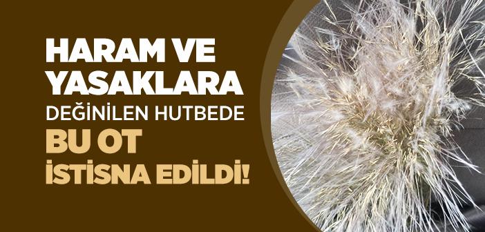 Haram ve Yasaklara Değinilen Hutbede Bu Ot İstisna Edildi!
