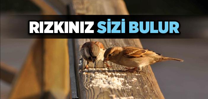 Rızık Seni Kovalar ve Bulur