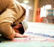 Tazim Nedir?