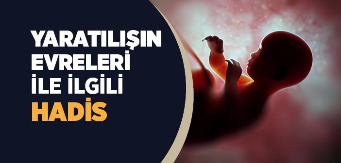 İnsanın Oluşumu İle İlgili Hadis