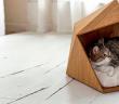 Kedi Necis midir? Evde Kedi Beslemek Caiz midir?