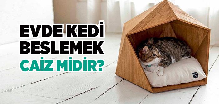 Kedi Beslemek Sunnet Mi Islam Ve Ihsan