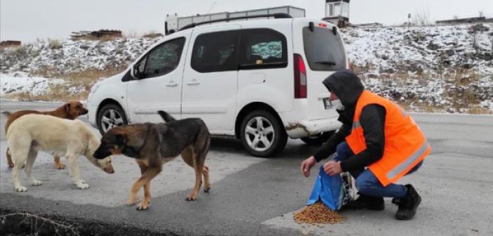 Sokak Hayvanlarını Unutmadılar