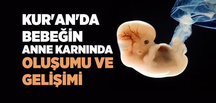 Bebeğin Anne Karnında Oluşumu ve Gelişimi Nasıldır?