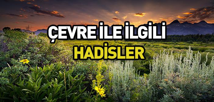 Çevre ile İlgili Hadisler