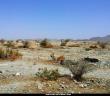 Huneyn Gazvesi ve Tâif Kuşatması ile İlgili Hadisler