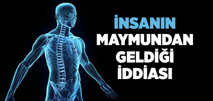 İnsanın Maymundan Geldiği İddiası